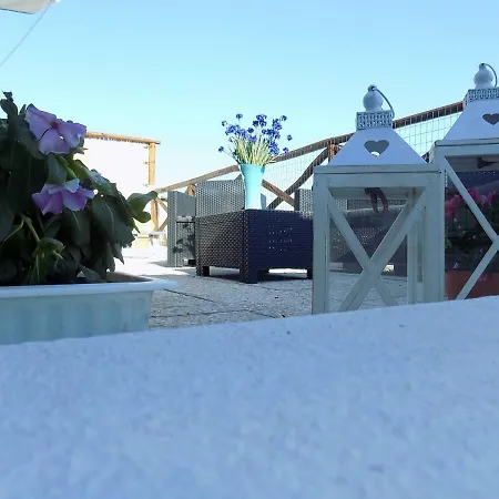 Todisco Holiday House